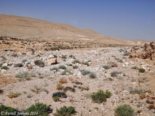 A dry wadi in the wilderness of Zin. Photo by Ferrell Jenkins.