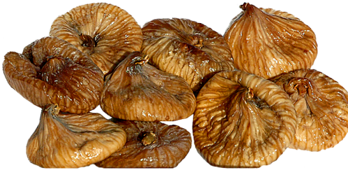 Dried figs from Jericho. Photo by Ferrell Jenkins.