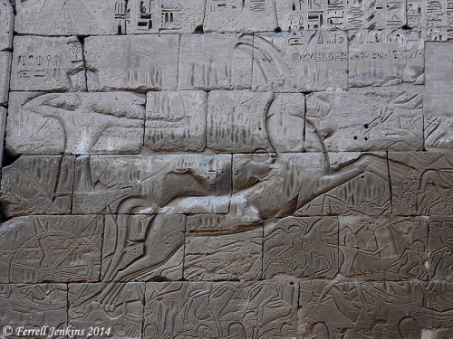 Relief from the mortuary temple of Ramses III. Photo by Ferrell Jenkins.
