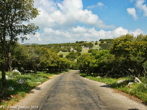 Mount Carmel near Murakah. Photo by Ferrell Jenkins.
