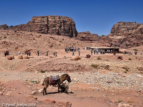 Umm el-Biyarah, the ancient stronghold of Esau. Photo by Ferrell Jenkins.
