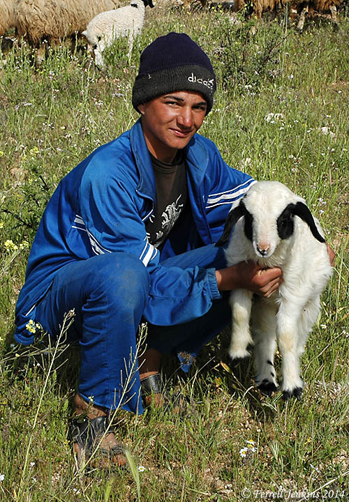 A shepherd and a lamb. Photo by Ferrell Jenkins.
