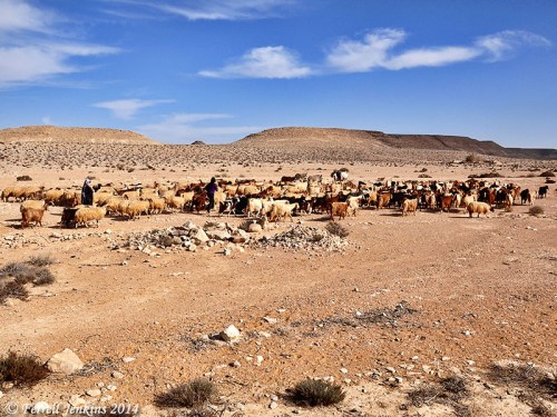 The wilderness of Zin near Avdat. Photo by Ferrell Jenkins.