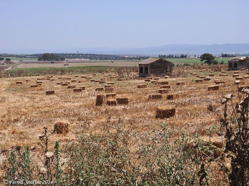 Valley from Beit Lehem HaGelit. Photo by Ferrell Jenkins.
