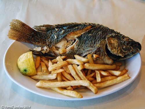 Saint Peter's fish is a common meal at restaurants around the Sea of Galilee. Photo by Ferrell Jenkins.