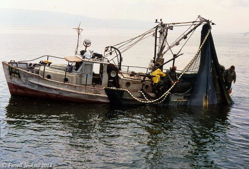 Fishing boat getting ready to unload a purse seine at Tiberias. Photo by Ferrell Jenkins, 1992.