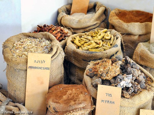 Frankincense and Myrrh on the Spice Route at Avedat. Photo by Ferrell Jenkins.
