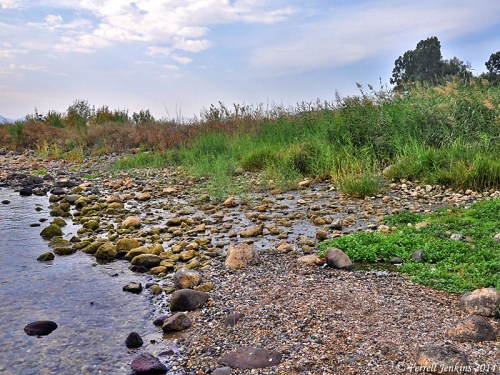 One of the seven springs at Heptapegon (Tabgha). Photo by Ferrell Jenkins.