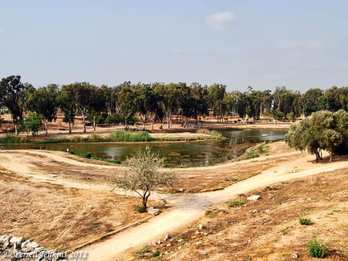Source of the Yarkon River at Aphek/Antipatris. Photo by Ferrell Jenkins.