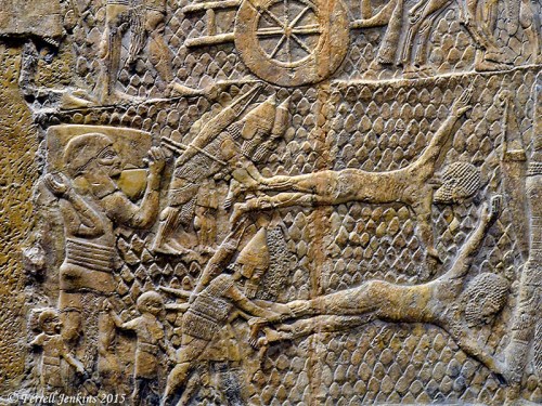 Bodies of the dead at Lachish. Photo by Ferrell Jenkins.