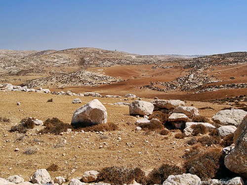 A field showing good soil, rocks, and weeds. Photo by Ferrell Jenkins.