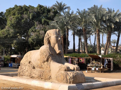 Alabaster sphinx of Rameses II at Memphis. Photo by Ferrell Jenkins.