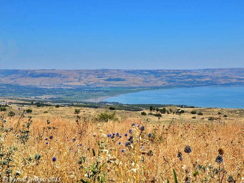The plain of Bethsaida taken from the hills above Capernaum and east of Chorazin. Photo by Ferrell Jenkins.