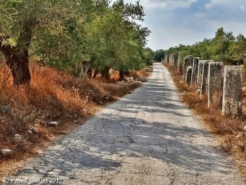 The road along the base of the tel at Samaria in 2012. Several Roman columns stand along the route of the ancient street. Photo by Ferrell Jenkins