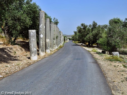 The newly paved Roman street (2015) leading to the Roman Forum where one begins a tour of the ancient ruins. Photo by Ferrell Jenkins.