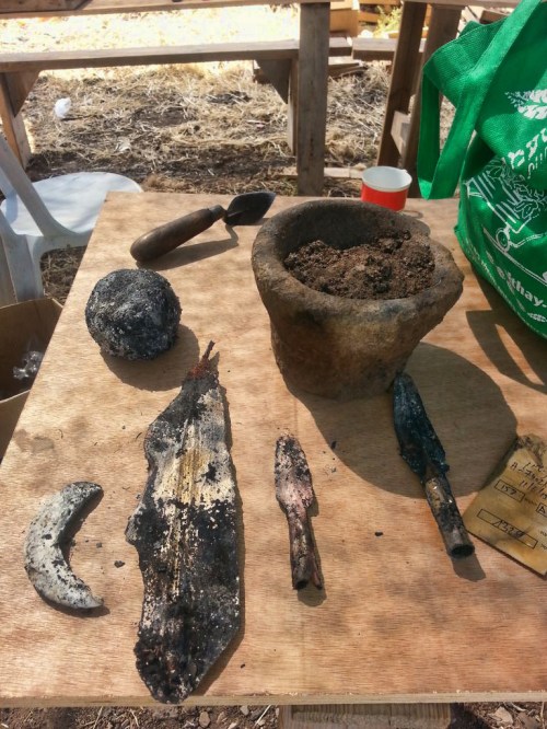 Bronze age tools and artifacts damaged in the fire. Photo: Israel Antiquites Authority