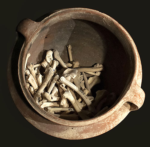 Cooking pot with chicken wing bones from the excavation.