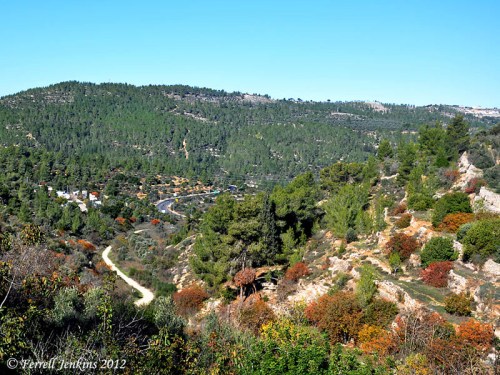 The vicinity of En Karem in the hill country of Judea. Photo by Ferrell Jenkins