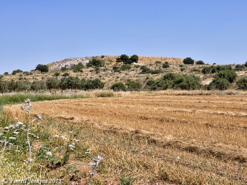 View of the north side of Tel Maresha. Photo by Ferrell Jenkins.