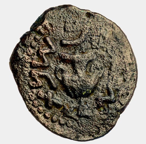 Coin from period of the Great Revolt against the Romans. Copyright Clara Amit, IAA.