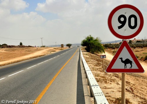 Camel warning sign in the Negeb (Negev). Photo by Ferrell Jenkins.