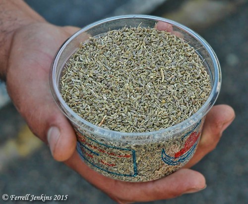 A salesman at Jericho shows anise. Photo by Ferrell Jenkins.