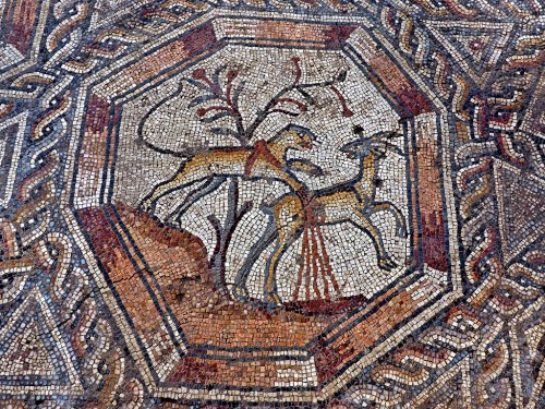 A portion of the newly discovered Lod mosaic showing fanimals. Photo by Assaf Peretz, Israel Antiquities Authority