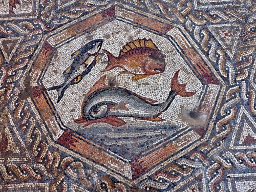 A portion of the newly discovered Lod mosaic showing fish. Photo by Assaf Peretz, Israel Antiquities Authority.