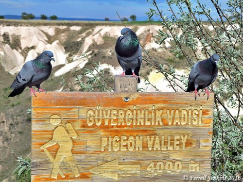 Pigeon Valley sign in Cappadocia. Photo by Ferrell Jenkins.