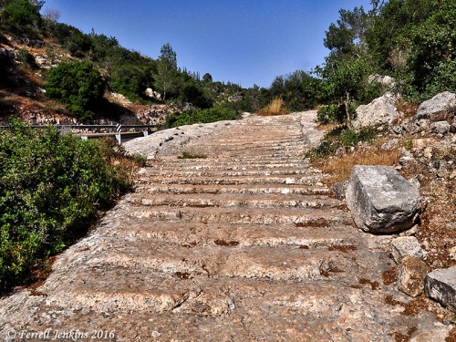 Roman Road 4.2 km W of Mata on Hwy 375. S of Hwy. Photo by Ferrell Jenkins.