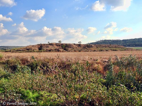 Timnah, beyond the brook Sorek, in August, 2011. Photo by Ferrell Jenkins.