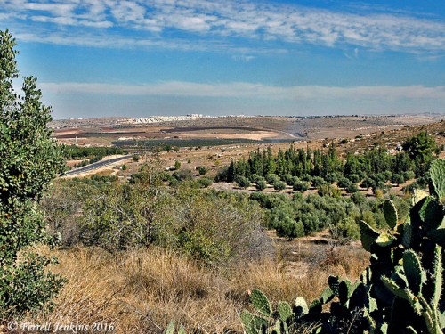 Aijalon Valley from the Latrun Interchange on Highway 1. Photo by Ferrell Jenkins.