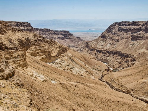 A general photograph of Nahal Tse’elim. Photographic credit: Yoli Shwartz, courtesy of the Israel Antiquities Authority.
