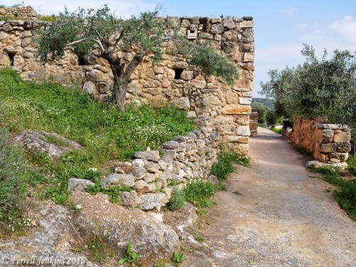 A dirt path and one of the houses at Nazareth Village. Photo by Ferrell Jenkins.