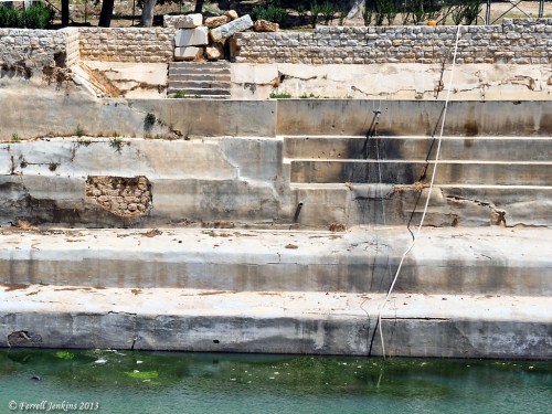 Obvious neglect I observed in one of the pools in April, 2013. Photo by Ferrell Jenkins.