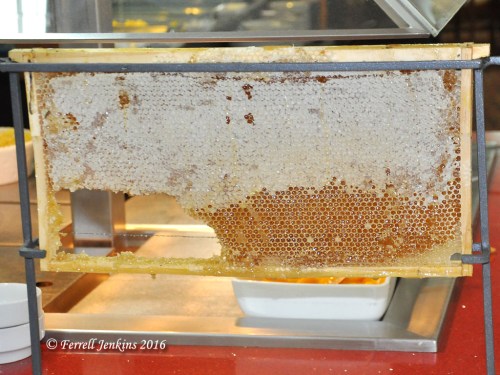 Honey comb at the Ron Beach Hotel breakfast bar. Photo by Ferrell Jenkins.