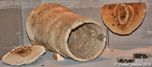 One of the beehives from the Tel Rehov apiary. Eretz Israel exhibit. Photo by Ferrell Jenkins.