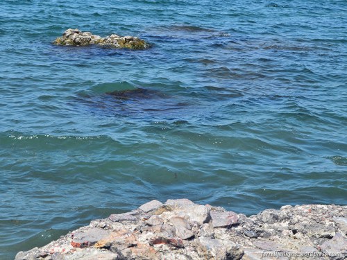 A few ruins of the palace where the first council met can be seen underneath the water. Photo by Ferrell Jenkins.