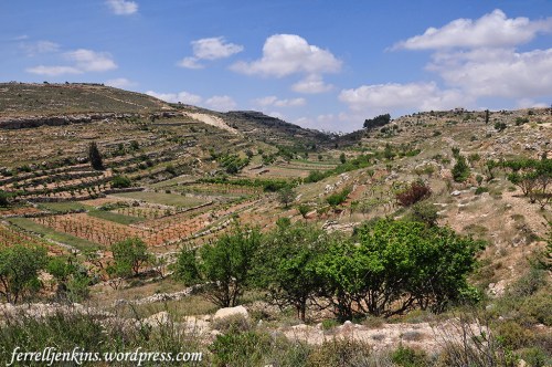 A beautiful, fertile valley along the central mountain range between Bethlehem and Hebron. Photo by Ferrell Jenkins.