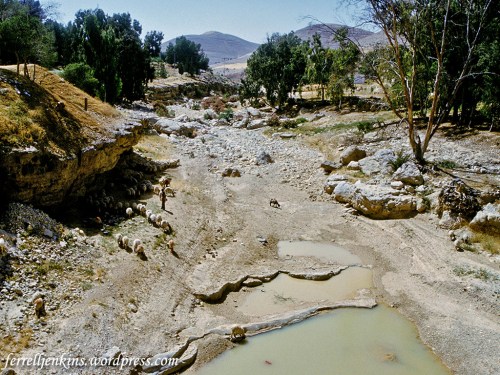 A wadi between Madaba and the Arnon Gorge along the King's Highway in transjordan. Photo by Ferrell Jenkins.