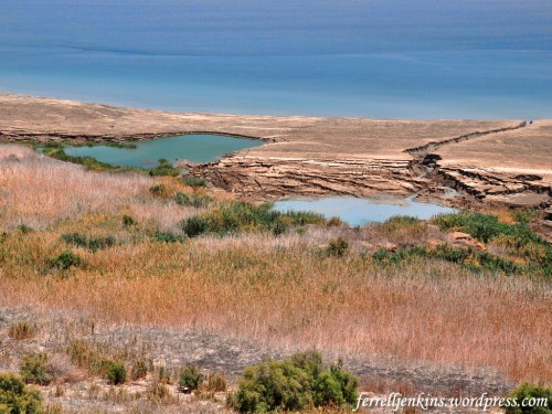 Sinkholes along the shore of the Dead Sea. Photo by Ferrell Jenkins.