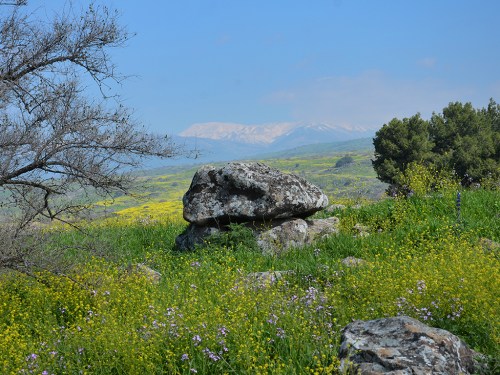 The 4,000 year old dolmen.View facing north toward Mount Hermon. Photographic credit: Gonen Sharon, Tel Hai College.