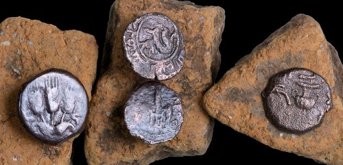 The ancient coins that were discovered in the excavation. Photographic credit: Clara Amit, courtesy of the Israel Antiquities Authority