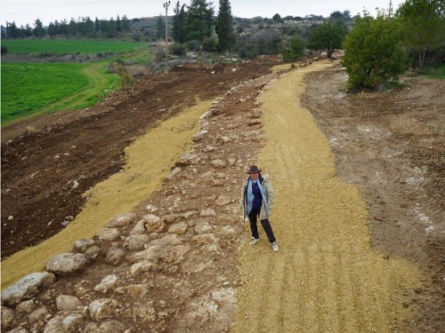 The excavation director, Irina Zilberbod, at the site. Photographic credit: the Griffin Aerial Photography Company, courtesy of the Israel Antiquities Authority.