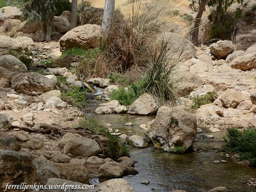 Many rocks around En Prat suitable for hiding a garment. Photo by Ferrell Jenkins.