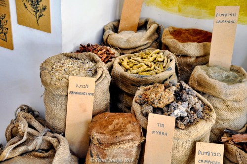Frankincense, Myrrh, and other spices were transported by camel caravans across the famous Spice Route. Photo by Ferrell Jenkins.