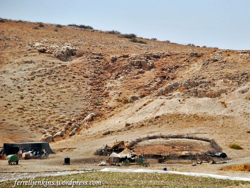 Bedouin camp and sheepfold in the Jordan Valley in late August. Photo by Ferrell Jenkins.