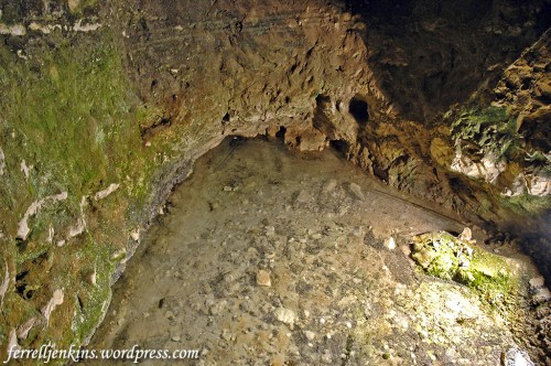 The spring at it was on April 02, 2006. Photo by Ferrell Jenkins.