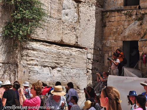 Ground level view of the southern end of the lentil showing. Photo by Ferrell Jenkins.