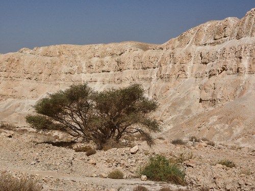 Cliffs on the west side of the Arabah a few miles south of the Dead Sea. Photo by Ferrell Jenkins.